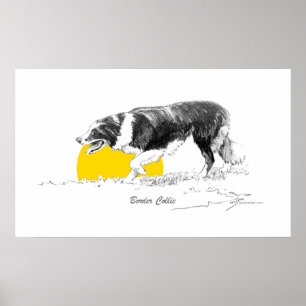 GränsCollie Poster
