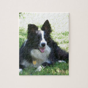 GränsCollie Pussel