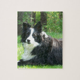 GränsCollie Pussel