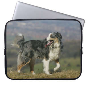 GränsCollie som flåsar 2 Laptop Sleeve