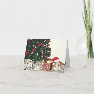 GränsCollie som ha på sig en Santa hatt Helgkort