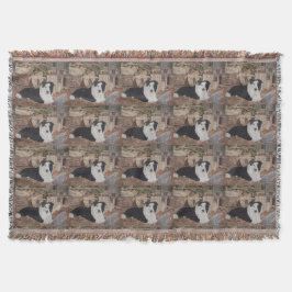 gränscolliehönor loggar in skjulhundporträtt mysfilt