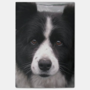 GränsColliehund Post-it Block