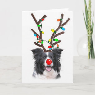 GränsColliejul Card~Rudolph Helgkort