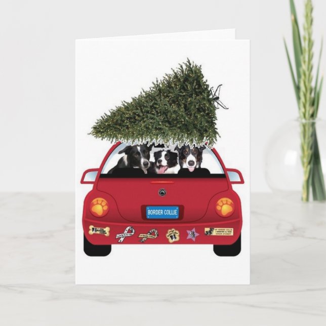 GränsColliejulkort Helgkort (Framsida)