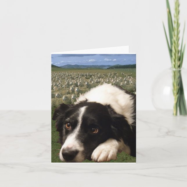 Gränscollien drömm Notecard Kort (Framsida)