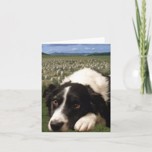 Gränscollien drömm Notecard Kort