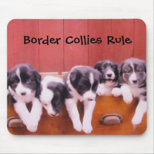 GränsCollies härskar djura Mousepad Musmatta