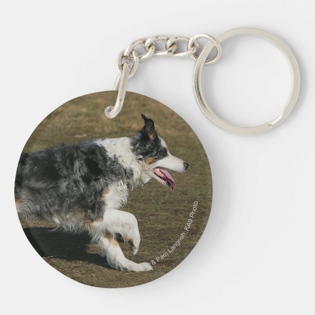GränsColliespring 1 (Baksidan)