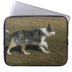 GränsColliespring 1 Laptop Sleeve