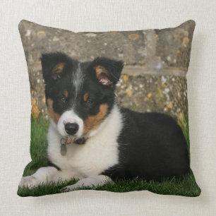 GränsCollievalp med löv i mun Kudde