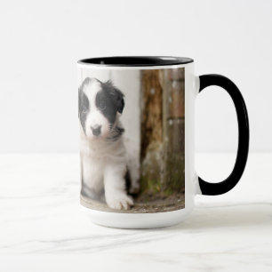 GränsCollievalp Mugg
