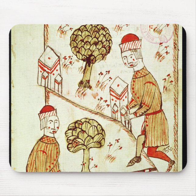 Granskning och avgränsning av landet musmatta (Framsidan)