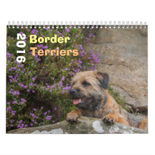 GränsTerrierhund, medel, vitkalender Kalender