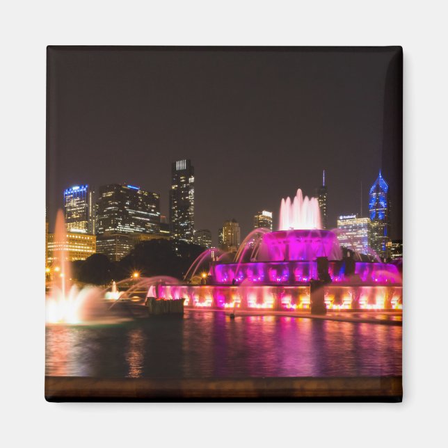 Grant Park Chicago Magnet (Framsidan)