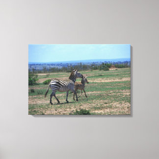 Grant Zebra Canvastryck