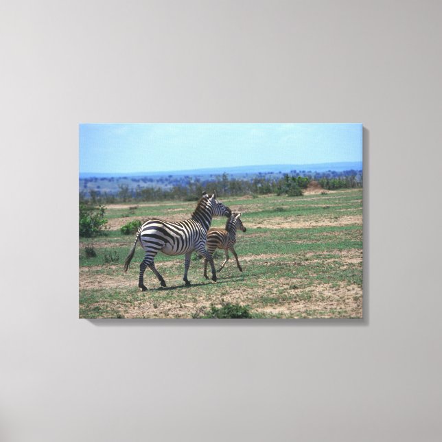 Grant Zebra Canvastryck (Framsida)