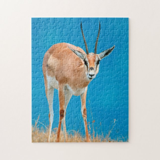 Grant's Gazelle (Gazella Granti) Ewe Porträtt Pussel (Vertikal)