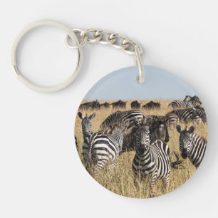 Grant's Zebra