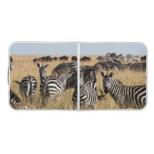 Grant's Zebra