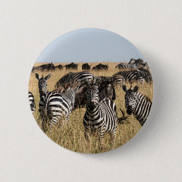 Grant's Zebra Button Knapp