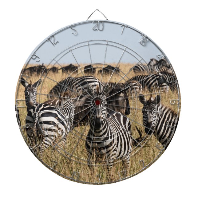Grant's Zebra Darttavla (Framsidan)