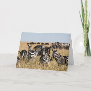 Grant's Zebra Greeting Card Kort