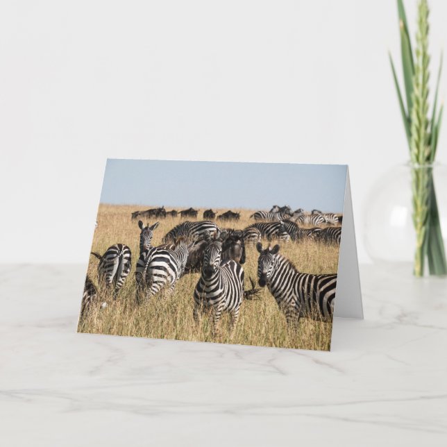 Grant's Zebra Greeting Card Kort (Framsida)