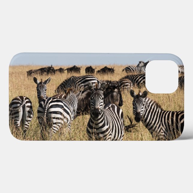 Grant's Zebra iPhone 13 Fodral (Baksida (horisontell))