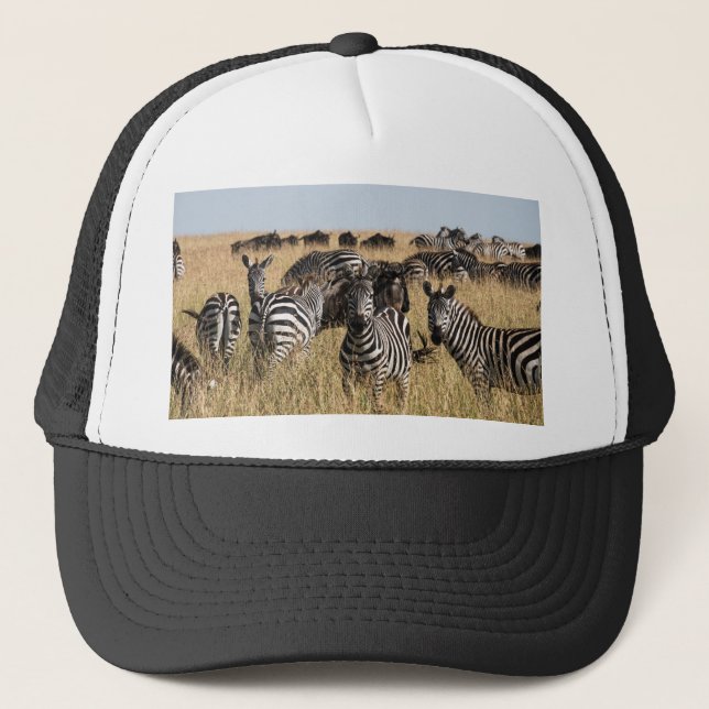 Grant's Zebra Keps (Framsida)