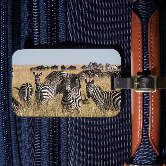 Grant's Zebra Luggage Tag Bagagebricka (Framsida Insitu 4)