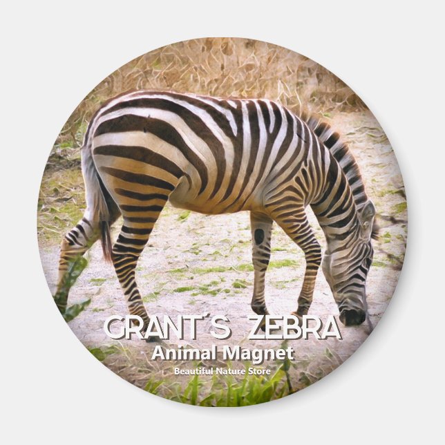 Grant's zebra magnet (Framsidan)