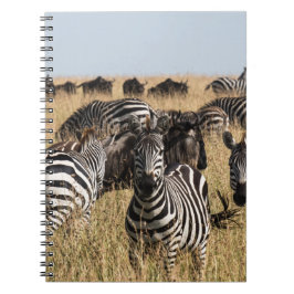 Grant's Zebra Notebook Anteckningsbok