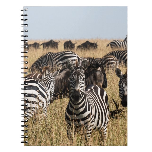 Grant's Zebra Notebook Anteckningsbok (Framsidan)