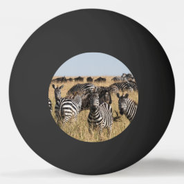 Grant's Zebra Pingisboll