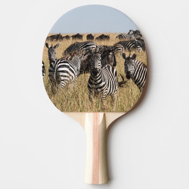 Grant's Zebra Pingisracket (Framsidan)