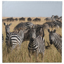 Grant's Zebra Trasa Napkin