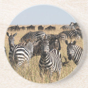 Grant's Zebra Underlägg