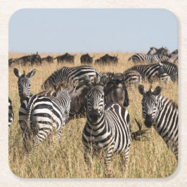 Grantzebra Underlägg Papper Kvadrat
