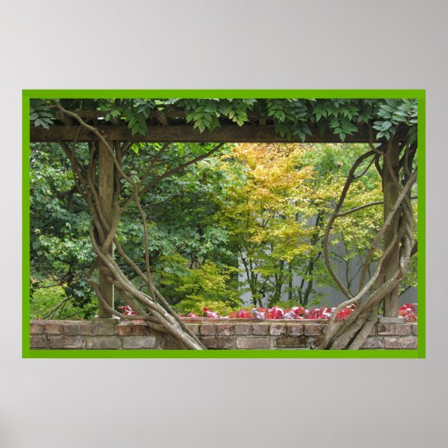 Grap Vineyard Poster (Framsidan)
