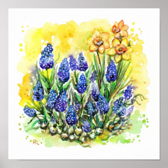 Grape Hyacinth Garden Poster (Framsidan)