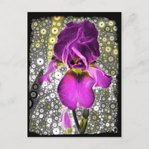 Grape Iris-vykort Vykort