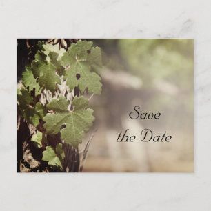 Grape Lövs Vineyard Bröllop spara datum Meddelande Vykort