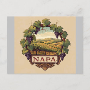 Grape Vineyard Napa Valley Souvenir Vykort