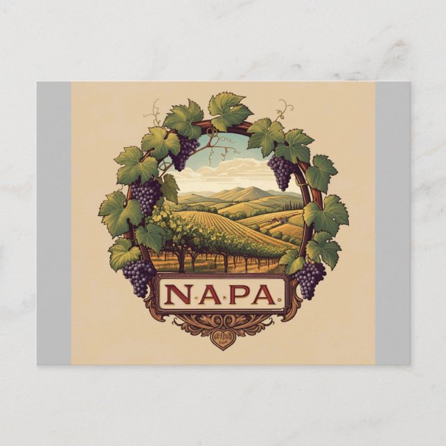 Grape Vineyard Napa Valley Souvenir Vykort (Framsida)