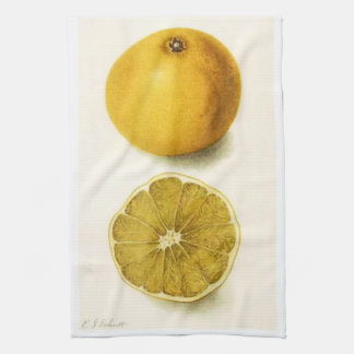 Grapefruit Kitchen Towel Kökshandduk