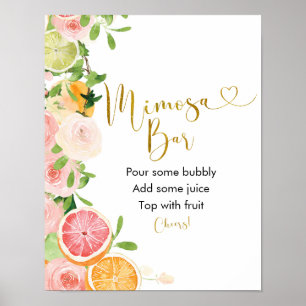 Grapefrukt Citrus Bröllopsdusch Mimosa Bar Skylt