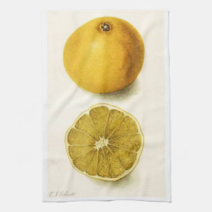 Grapefruktkökshandduk Kökshandduk