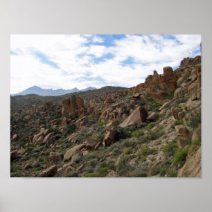 Grapevine Backe Sten & Chisos Mountains, Texas Poster