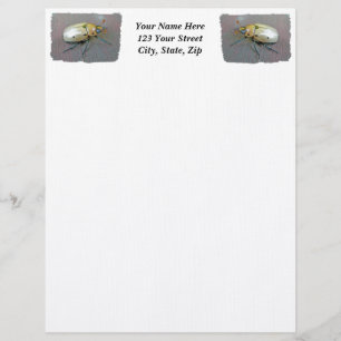 Grapevine Beetle (Pelidnota punctata) Letterhead Brevhuvud